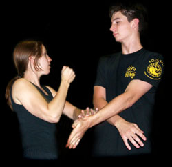 Kickboxing, practical self defence, Jeet Kune Do and weapons training