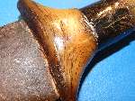 Large antique Sudanese/North African Jambiya scarce Rhino Horn.