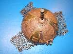 Antique Indo/Persian Kula Kud Hemet 18th-19th century