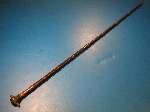 Very good Antique Swordstick carved Buffalo horn Fist 