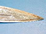 Good early Sudanese Armed Dagger