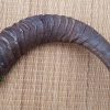 Antique Sudanese Dagger, Battle of Omdurman era c1898 - Image 5