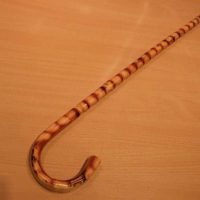 Walking Stick