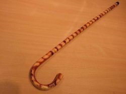 Walking Stick