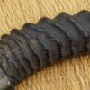 (AntHornNimIndsword0001) Antelope Horn Nimcha Style, possibly north african or indian sword - Image 29