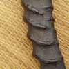 (AntHornNimIndsword0001) Antelope Horn Nimcha Style, possibly north african or indian sword - Image 14