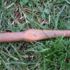 Pair of antique vintage wooden ethnic paddles. - Image 19