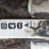 Otter's Foot - Image 2