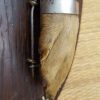 Otter's Foot - Image 4