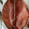 Vintage Massai Shield - Image 3