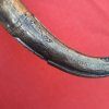 (MKJ0003)  Antique or vintage North African Moroccan Jambyia dagger - Image 4
